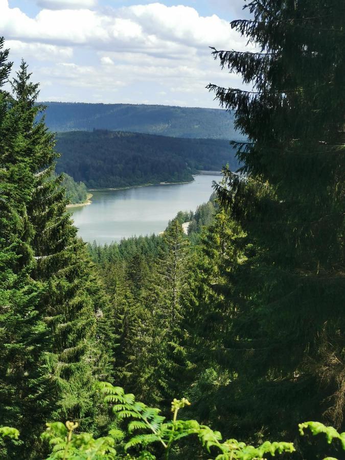 Apartmán Naehe Nationalpark Baiersbronn Exteriér fotografie