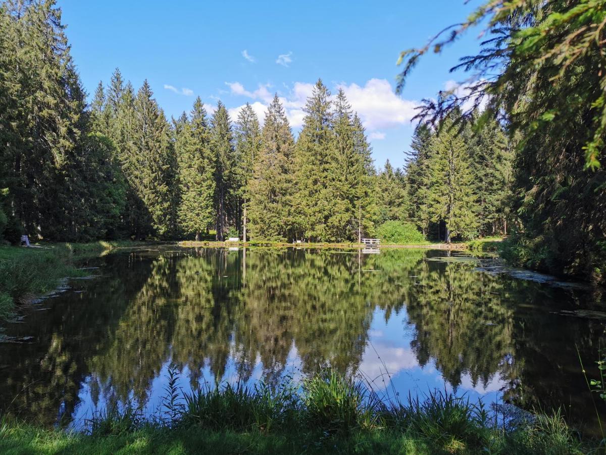 Apartmán Naehe Nationalpark Baiersbronn Exteriér fotografie