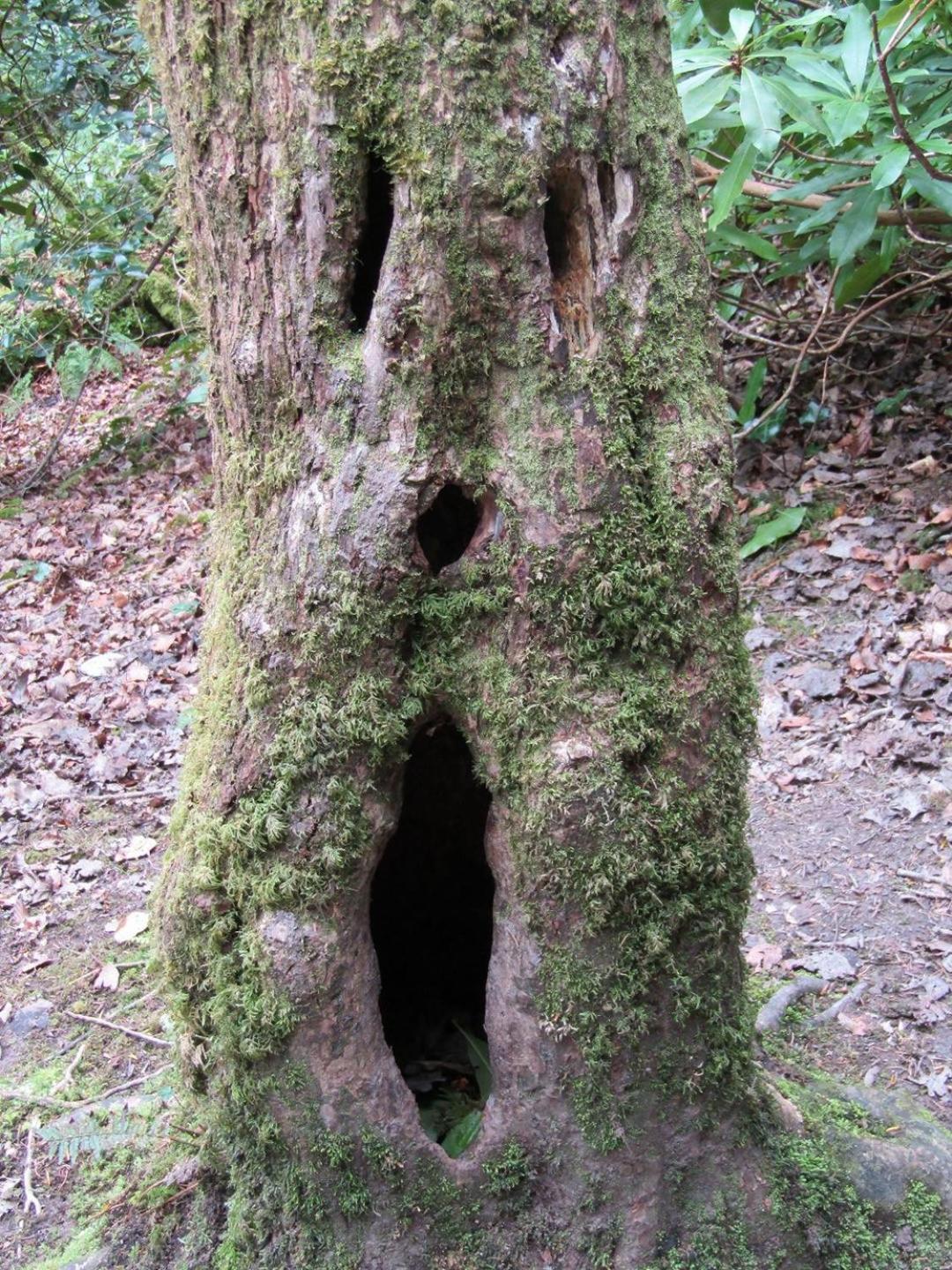 Apartmán Naehe Nationalpark Baiersbronn Exteriér fotografie