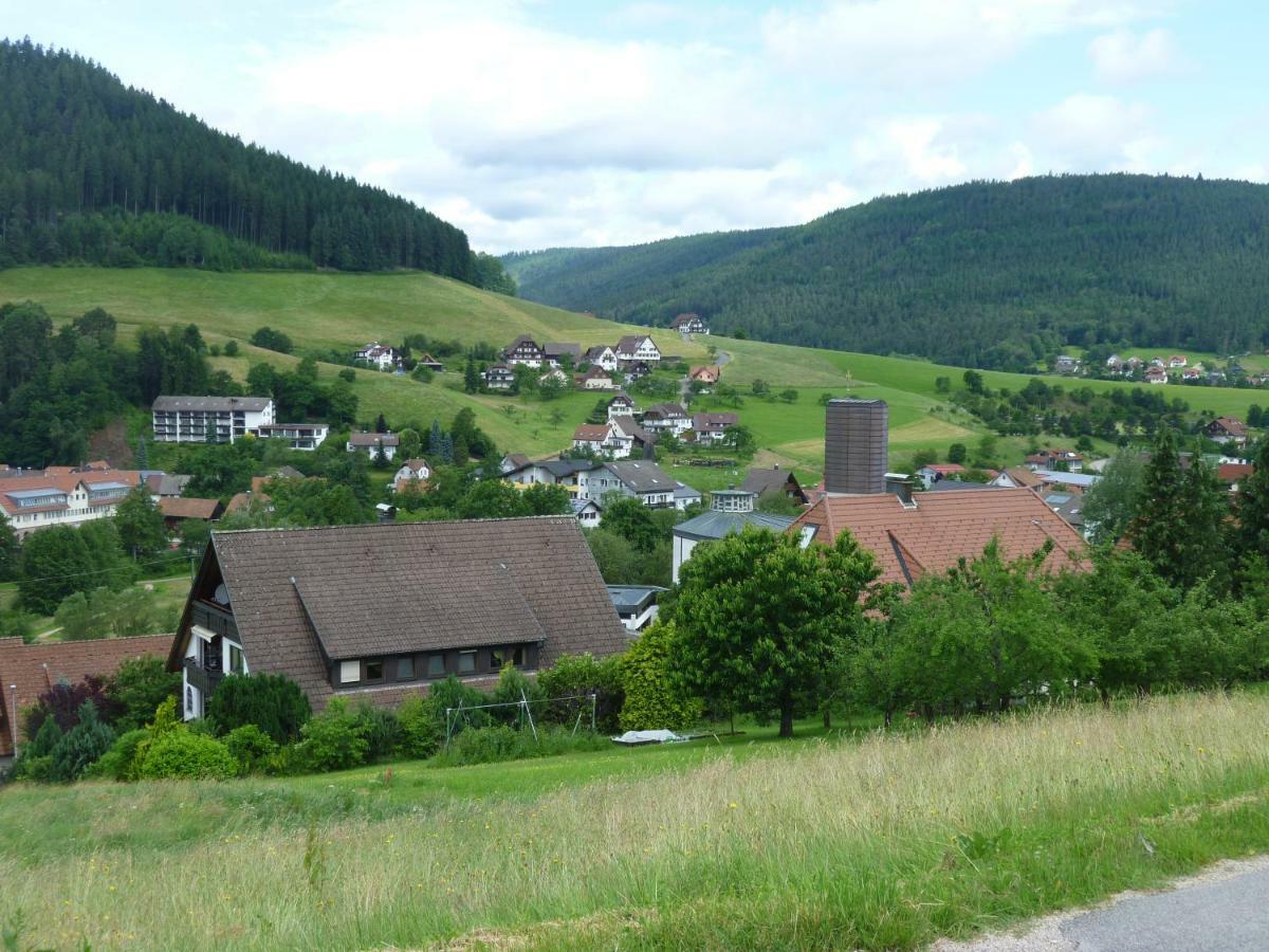 Apartmán Naehe Nationalpark Baiersbronn Exteriér fotografie