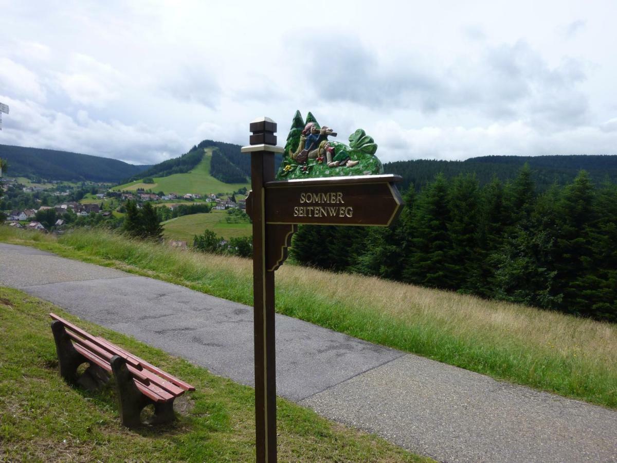 Apartmán Naehe Nationalpark Baiersbronn Exteriér fotografie
