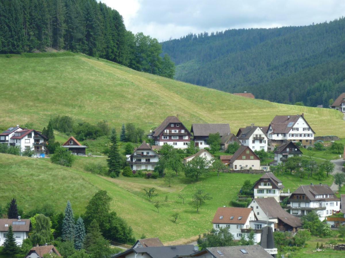 Apartmán Naehe Nationalpark Baiersbronn Exteriér fotografie