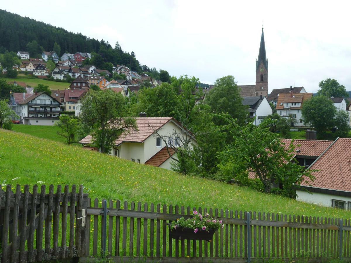 Apartmán Naehe Nationalpark Baiersbronn Exteriér fotografie