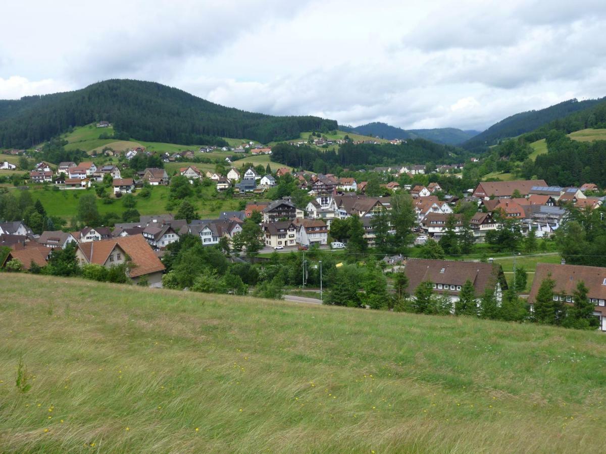 Apartmán Naehe Nationalpark Baiersbronn Exteriér fotografie